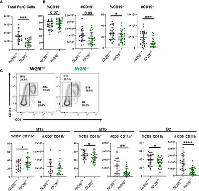 A role for the nuclear receptor NR2F6 in peritoneal B cell homeostasis